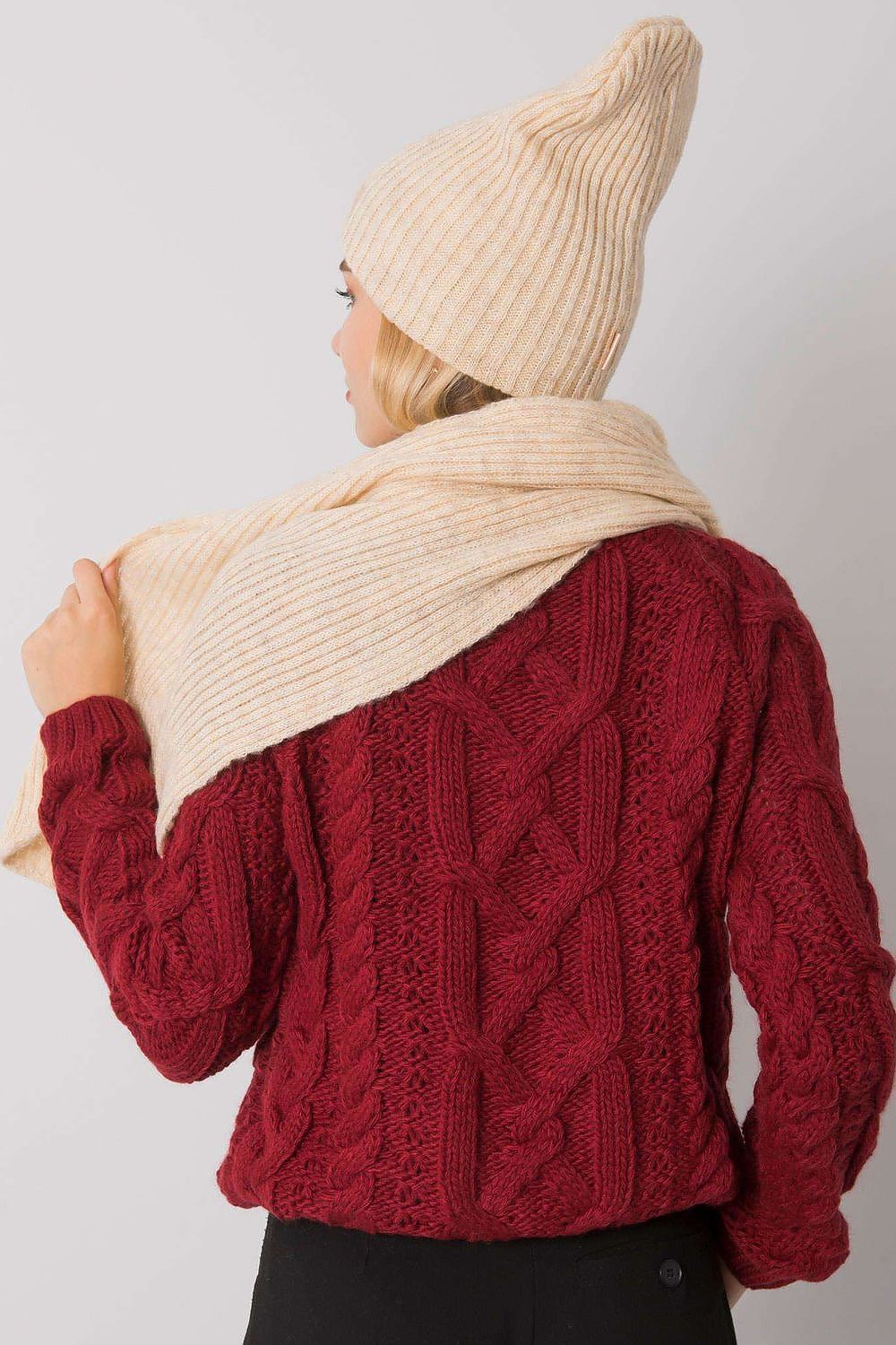 L`ensemble model 171820 Rue Paris
